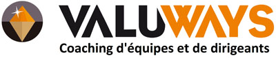 LogoValuWayys